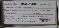 Image Associated With the Occurence